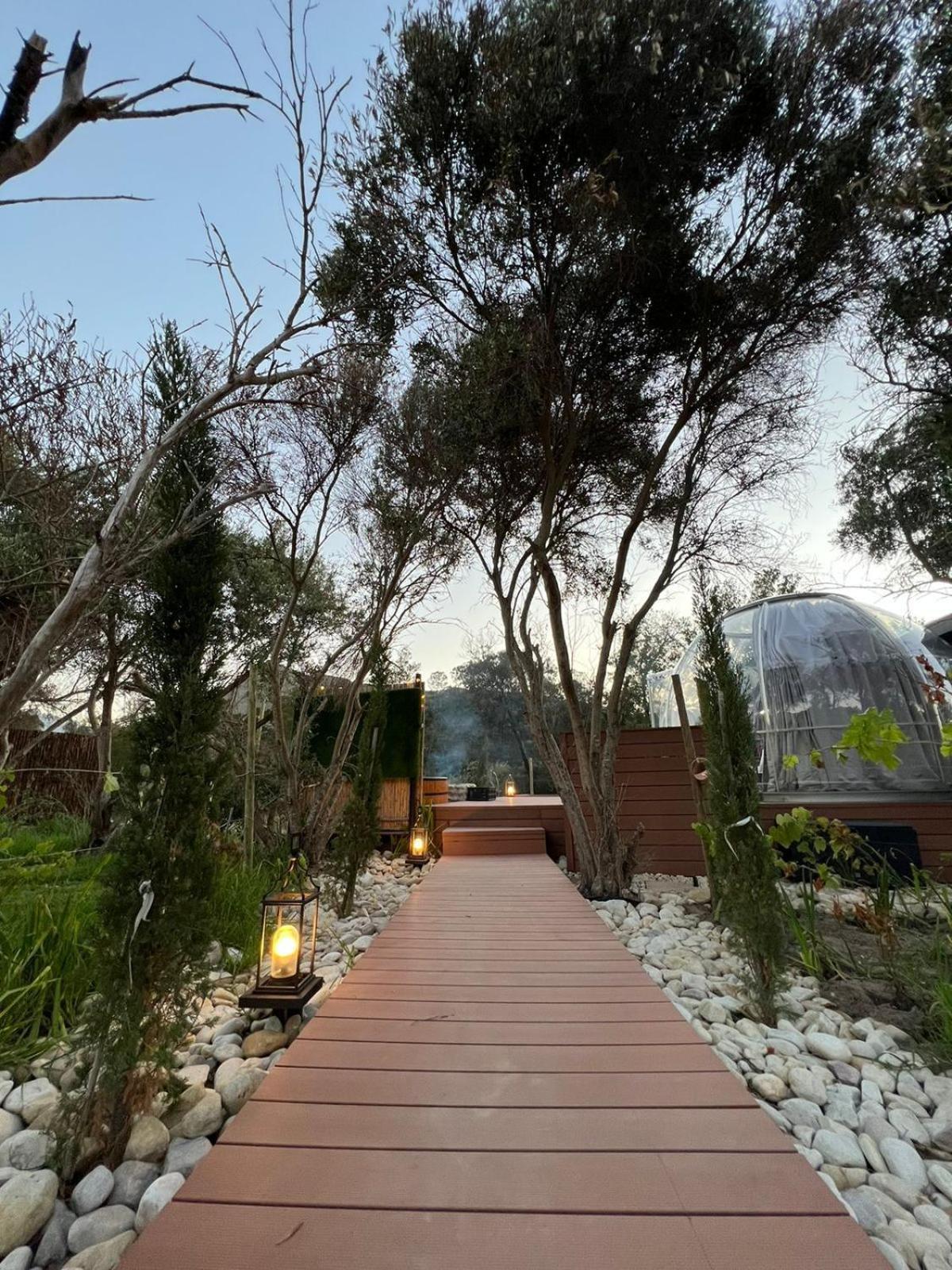 The Vino Dome By Once Upon A Dome فرانستشوك المظهر الخارجي الصورة