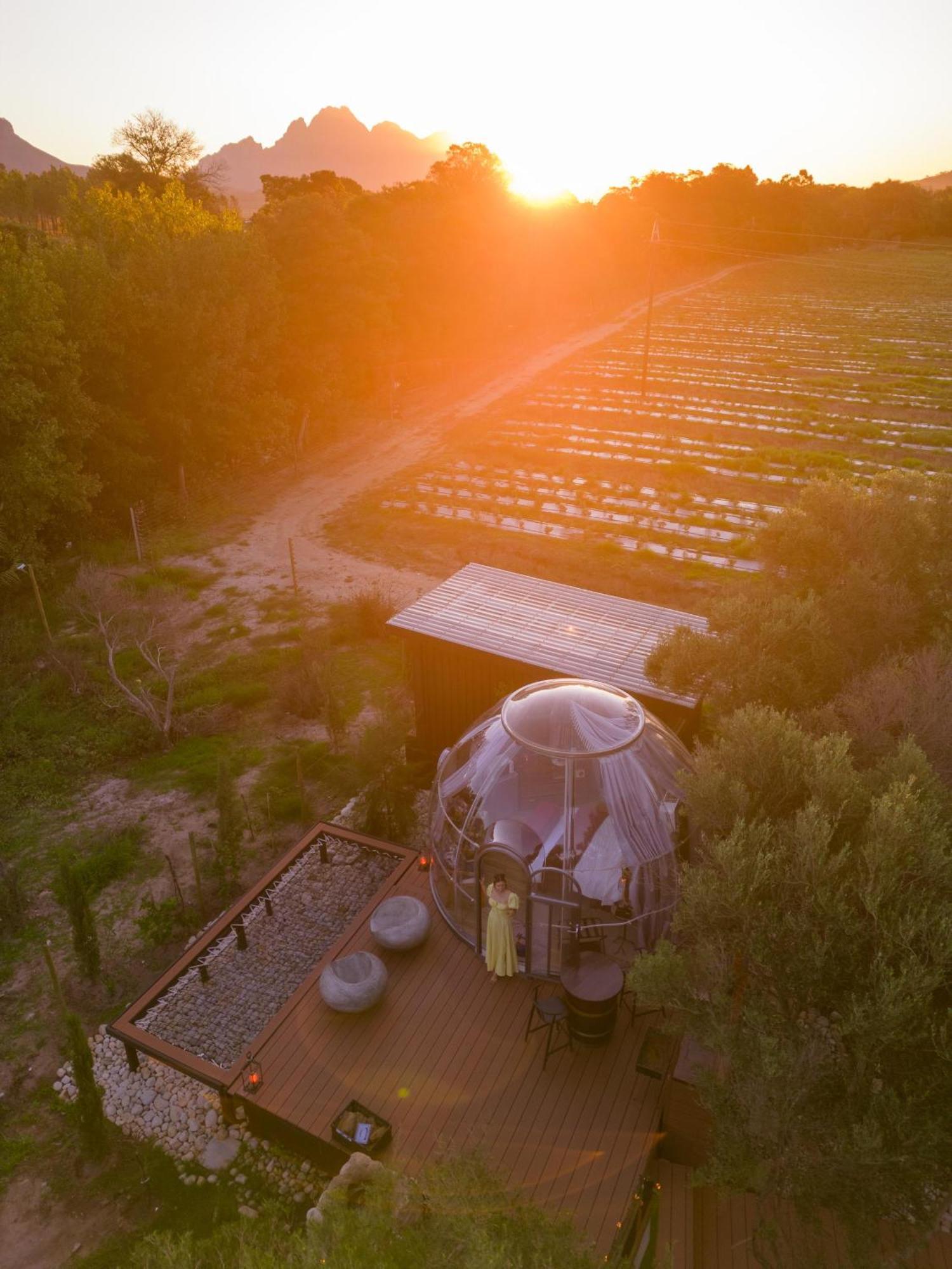 The Vino Dome By Once Upon A Dome فرانستشوك المظهر الخارجي الصورة